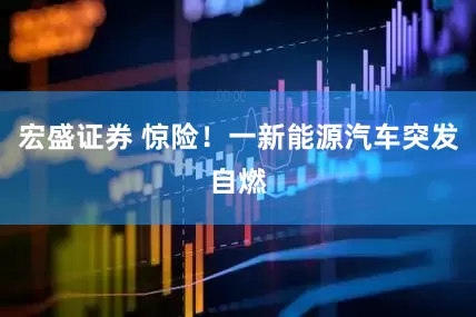 宏盛证券 惊险！一新能源汽车突发自燃
