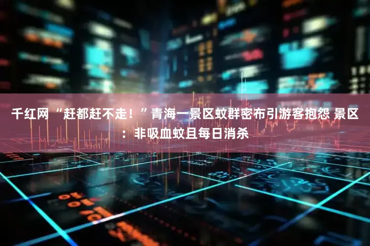 千红网 “赶都赶不走！”青海一景区蚊群密布引游客抱怨 景区：非吸血蚊且每日消杀