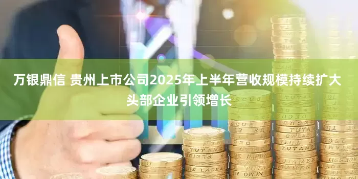 万银鼎信 贵州上市公司2025年上半年营收规模持续扩大 头部企业引领增长